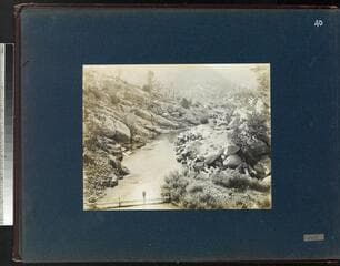 Go to image 41.