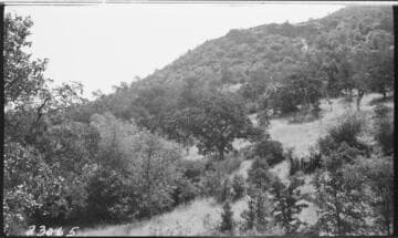 Kaweah #1