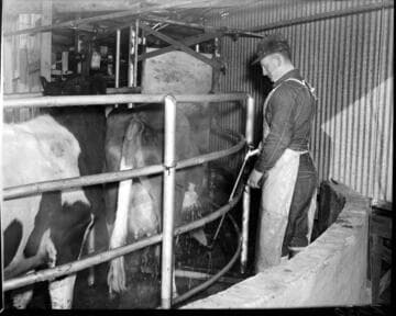 Agriculture