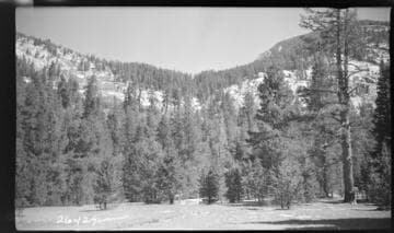 Fish Valley