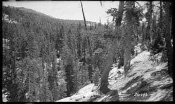 Fish Valley