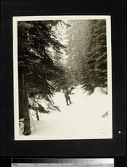 Go to image 7.