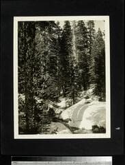 Go to image 10.