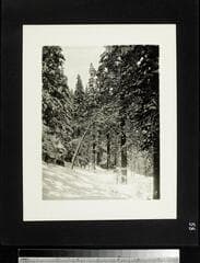 Go to image 59.