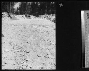 Go to image 79.
