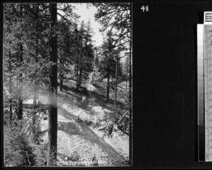 Go to image 49.