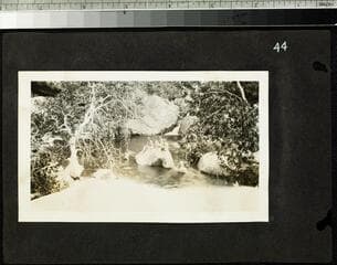 Go to image 45.