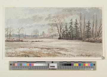 Winter Scene
