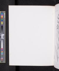 Go to image 367.