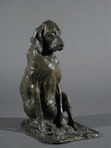 Italian Hunting Dog