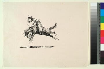 Bucking Horse