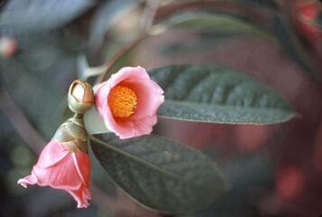 Go to image 11.