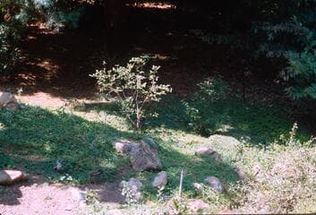 Go to image 19.