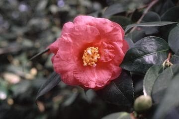 Go to image 3.