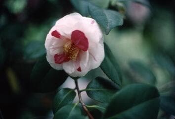 Go to image 3.