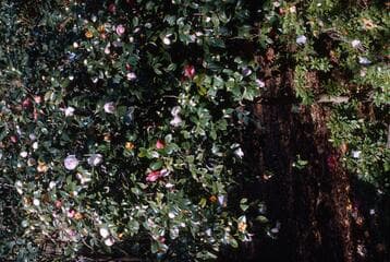 Go to image 4.