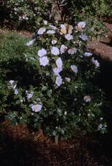 Go to image 2.