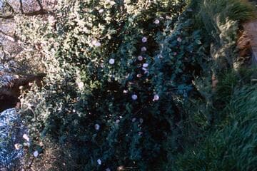 Go to image 7.