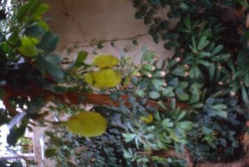 Go to image 12.