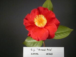 Go to image 1.
