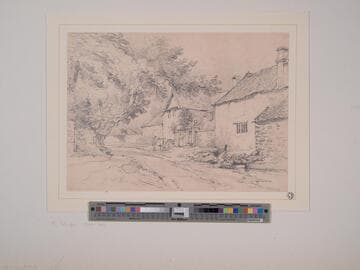 Country Lane