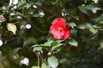 Go to image 3.