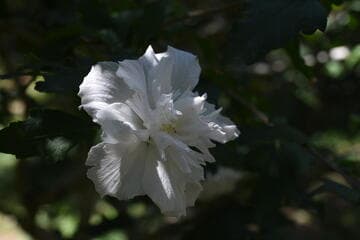 Go to image 3.