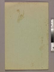 Go to image 8.