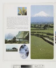 Go to image 9.