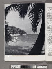 Go to image 15.