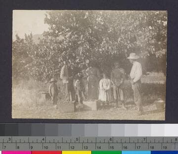 Harvesters