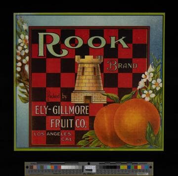 Rook Brand